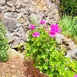 Hébergement de vacances Polinarias Casa Cueva En Fasnia *