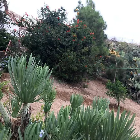 Hébergement de vacances Polinarias Casa Cueva En Fasnia