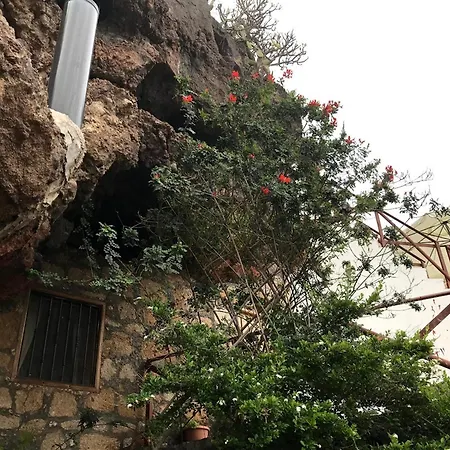 Polinarias Casa Cueva En Fasnia