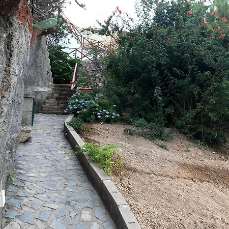 Polinarias Casa Cueva En Fasnia Holiday home