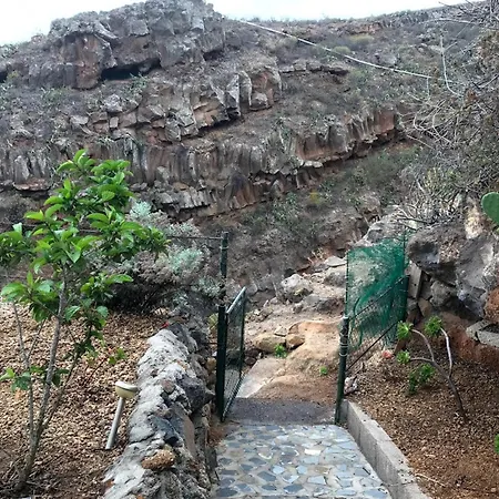 Polinarias Casa Cueva En Fasnia *