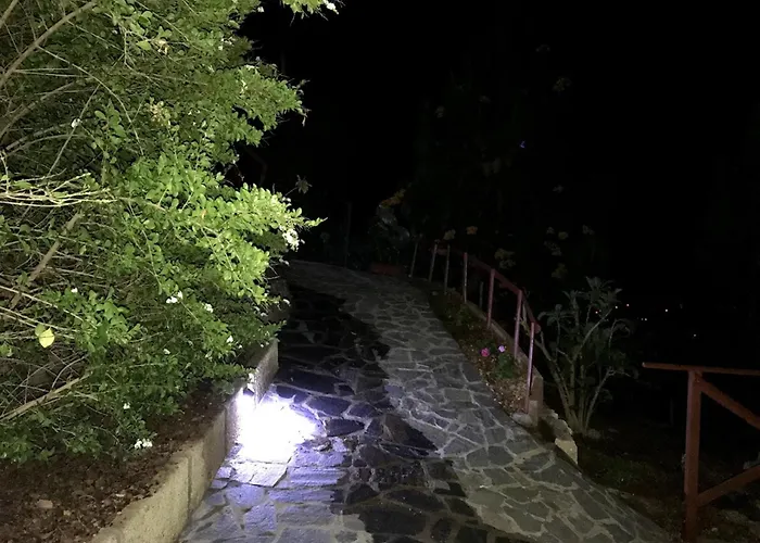 Polinarias Casa Cueva En Fasnia *