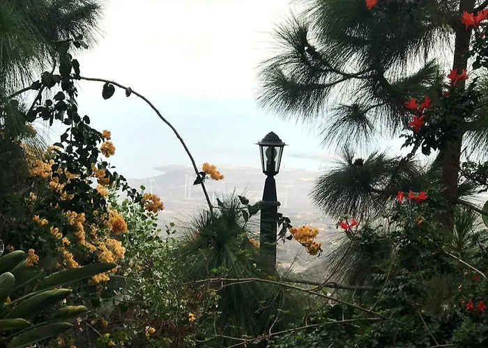 Polinarias Casa Cueva En Fasnia *