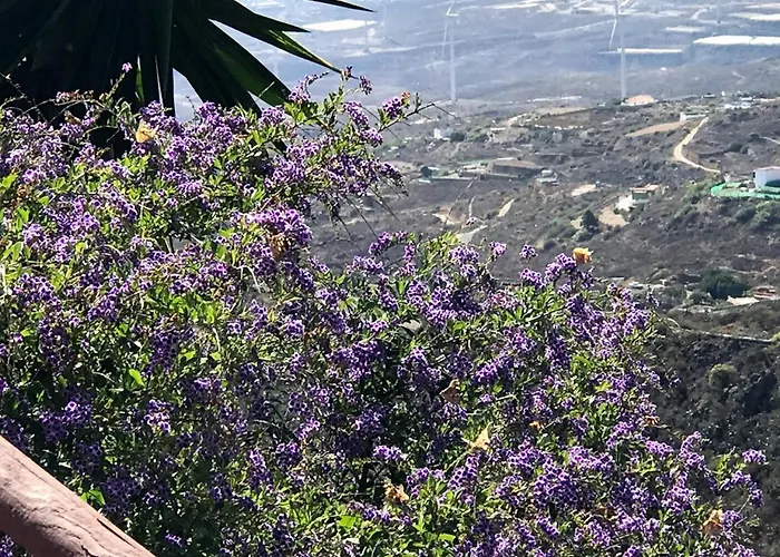 בית נופש Polinarias Casa Cueva En Fasnia