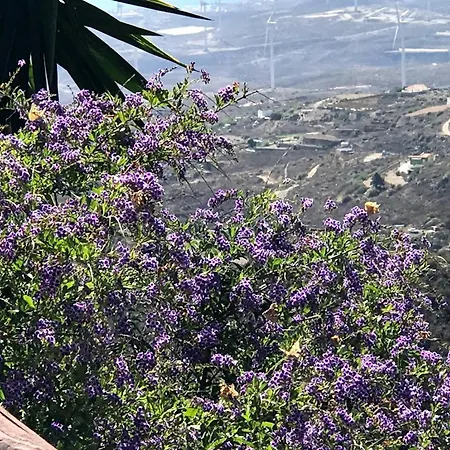 Tatil Evi Polinarias Casa Cueva En Fasnia