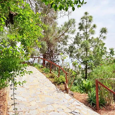 Polinarias Casa Cueva En Fasnia Tatil Evi *