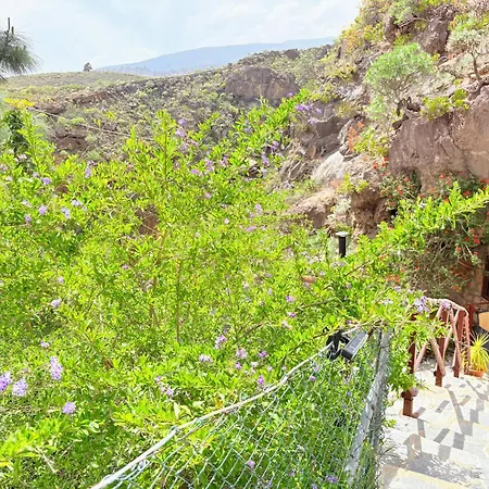 Polinarias Casa Cueva En Fasnia * Santa Cruz de Tenerife