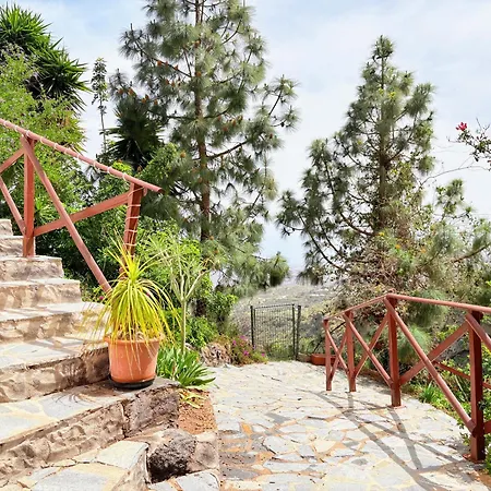 Polinarias Casa Cueva En Fasnia Tatil Evi *